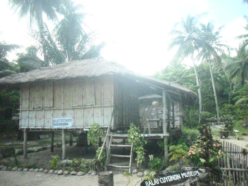 Erlittop Nature Lodge El Nido Exterior foto
